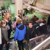 Group school mobility in Amsterdam