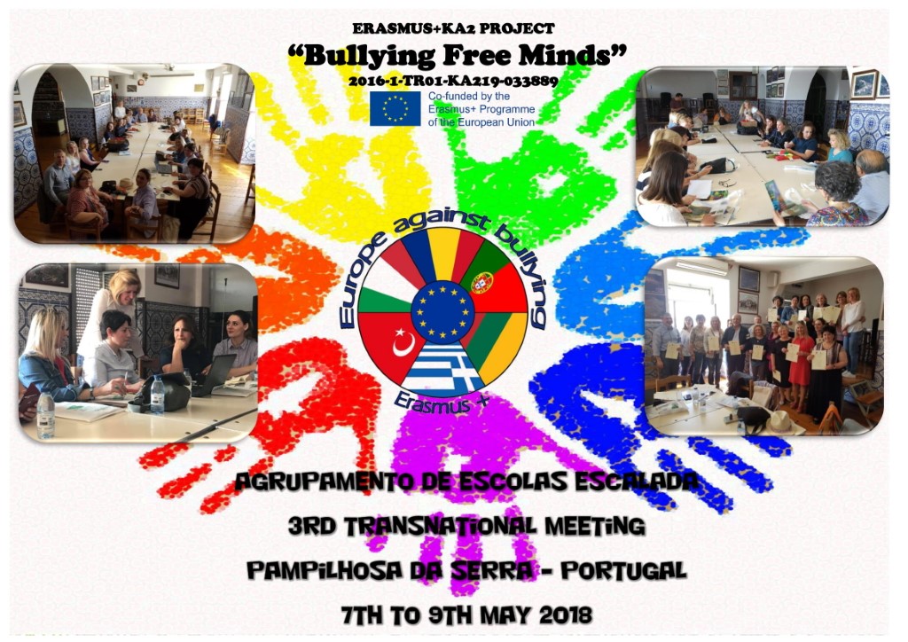 Poster Pampilhosa